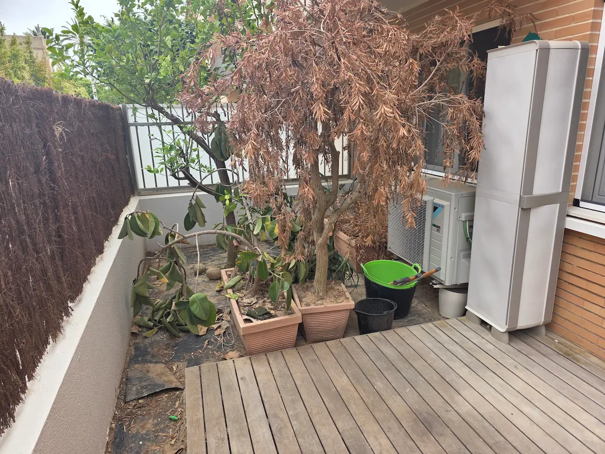 Antes area verde